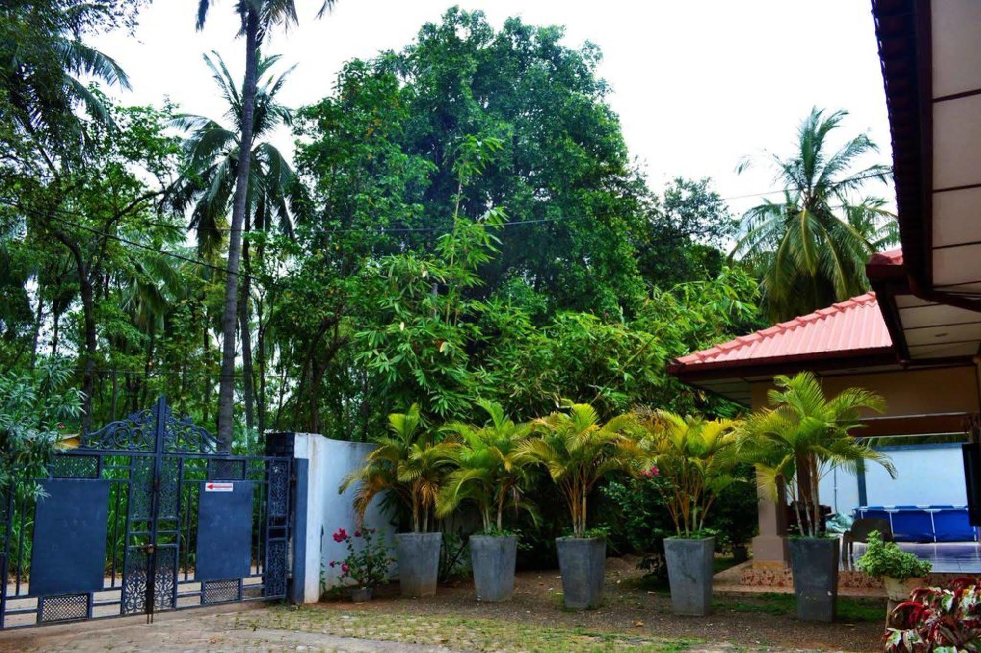 Dambulla City Hostel Exteriér fotografie